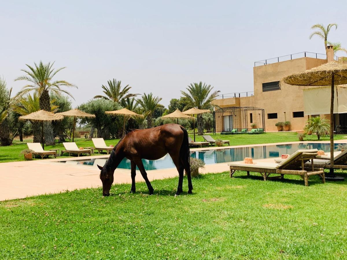 Готель Marrakech Retreat Srarhna Екстер'єр фото