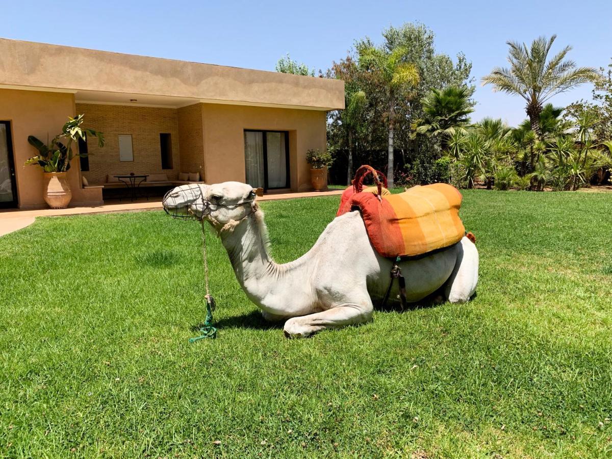Готель Marrakech Retreat Srarhna Екстер'єр фото